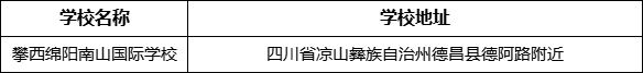 凉山州攀西绵阳南山国际学校地址在哪里？