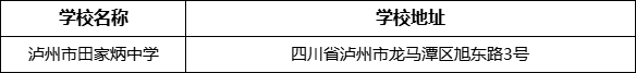 泸州市田家炳中学学校地址在哪里？