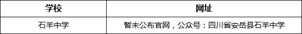 资阳市石羊中学网址是什么？