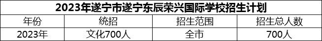 2024年遂宁市遂宁东辰荣兴国际学校招生计划是多少？