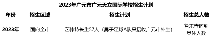 2024年广元市广元天立国际学校招生计划是多少？