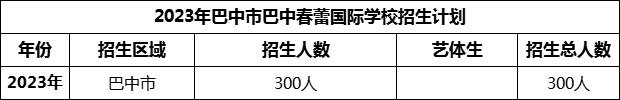 2024年巴中市巴中春蕾国际学校招生计划是多少？