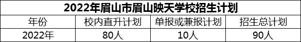 2024年眉山市眉山映天学校招生计划是多少？