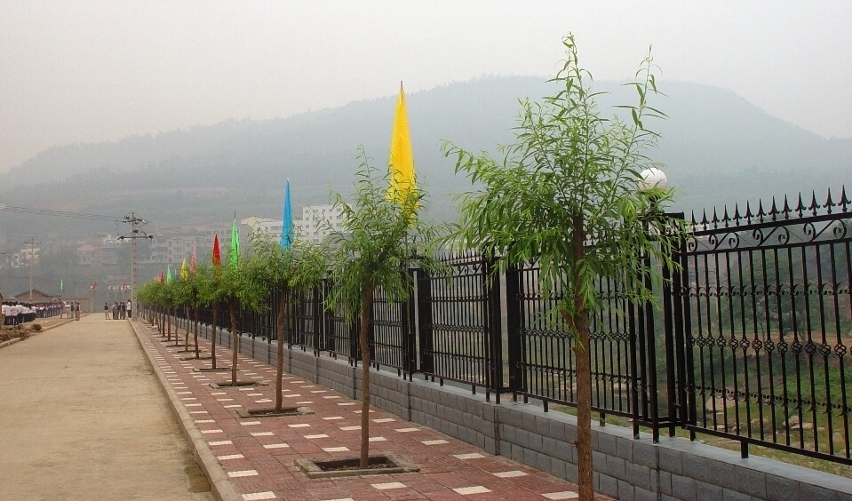 剑州中学校园风采