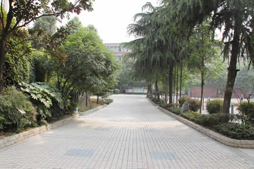 成都列五中学校园风采