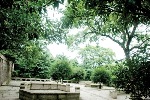 仪陇中学校园风采