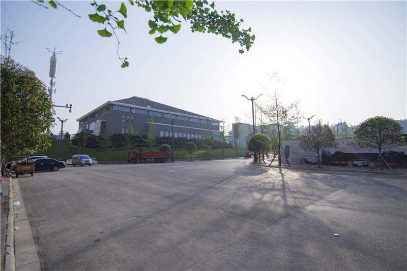 巴中市巴州区恩阳中学校园风采