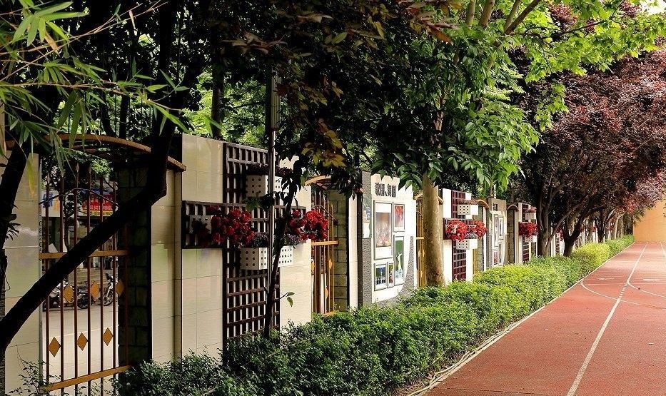 成都大学附属中学学校风采