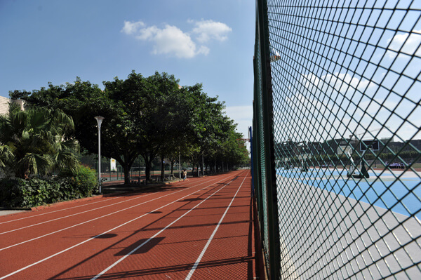 棠湖外国语实验学校校园风采