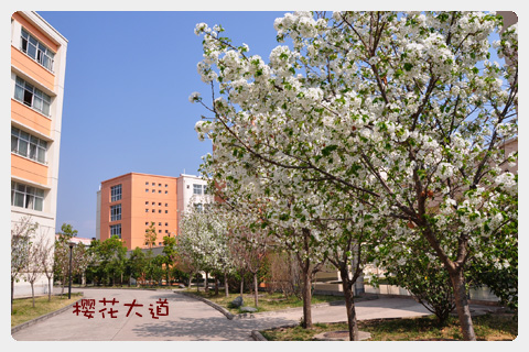 西昌一中2018年收费标准
