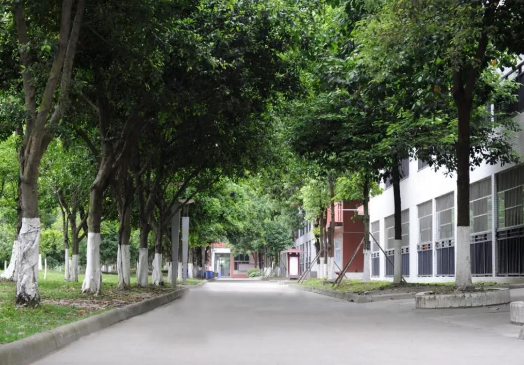 新都香城中学