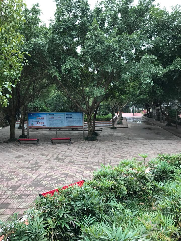 内江十二中2019年班级设置