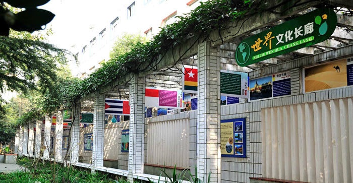 成都高新实验学校2018年直升计划