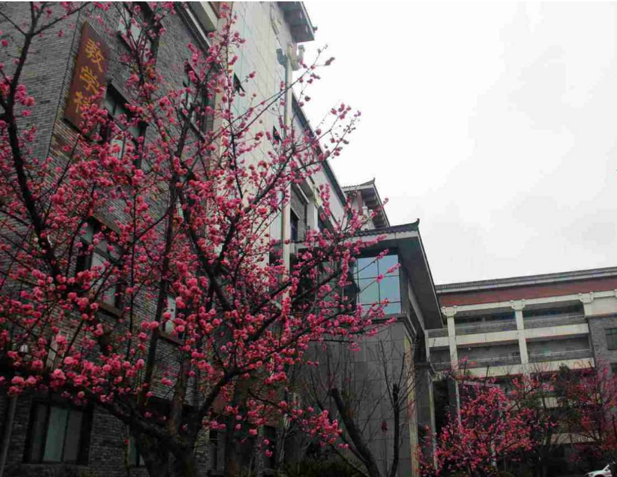 成都西北中学2019年班级设置