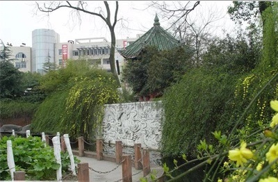 绵阳南山中学2019年统招计划