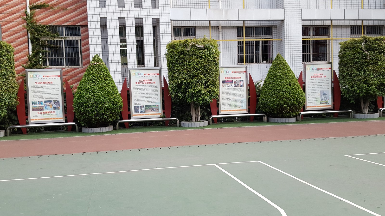 攀枝花市外国语学校在什么地方？