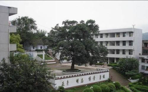 白花中学的办学成果
