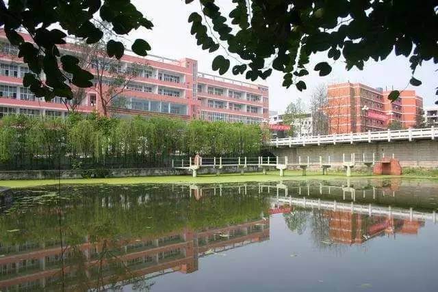 江安中学2019年班级设置