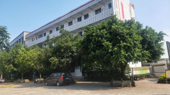 隆昌八中教学特色