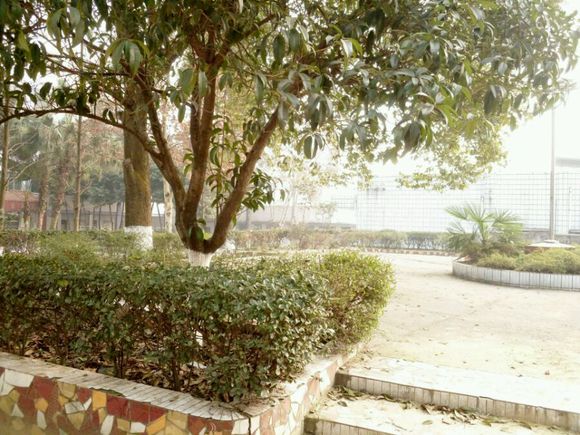 隆昌县第六中学办学成果