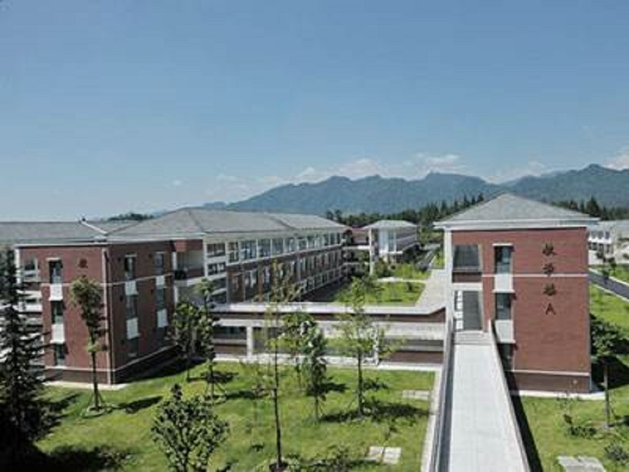 青城山高级中学2020年中考录取分数线是多少？
