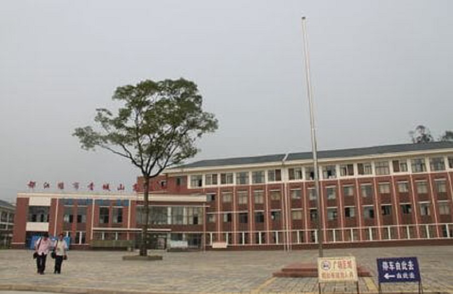 青城山高级中学是公办还是民办？