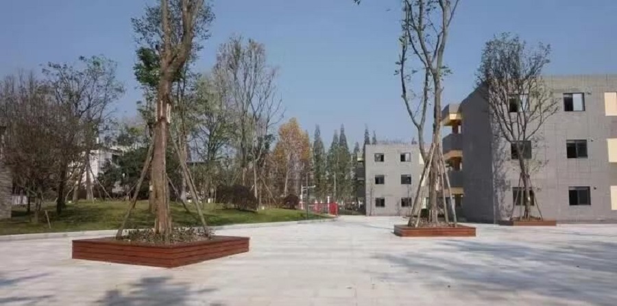 成都绵实外国语学校2019年招生公告公布了吗？