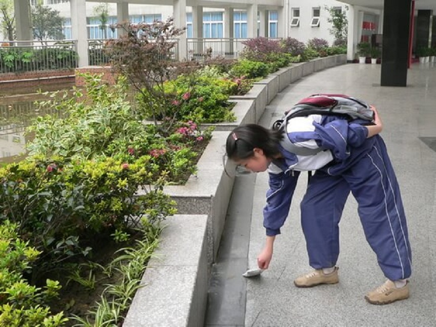 龙泉中学网址链接是什么？