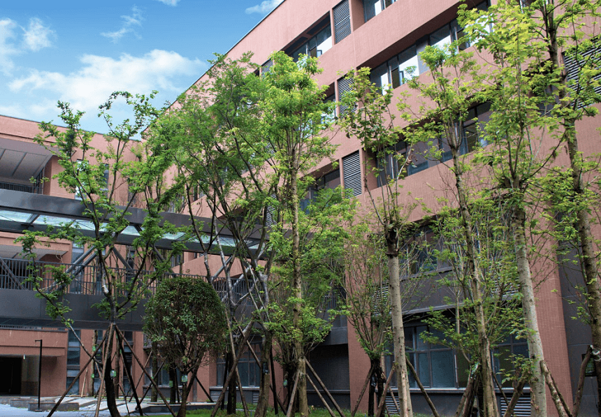 电子科技大学实验中学环境好不好？