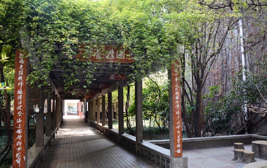 成都玉林中学校园环境好不好？