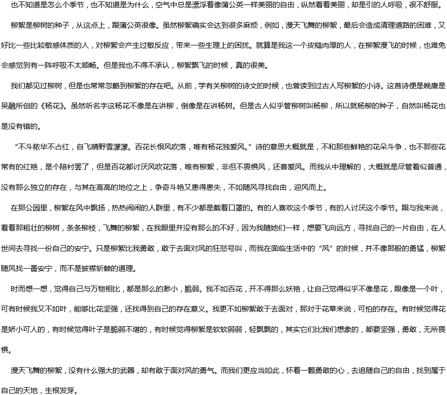 2020年中考满分作文900字预测范文：柳絮翩翩