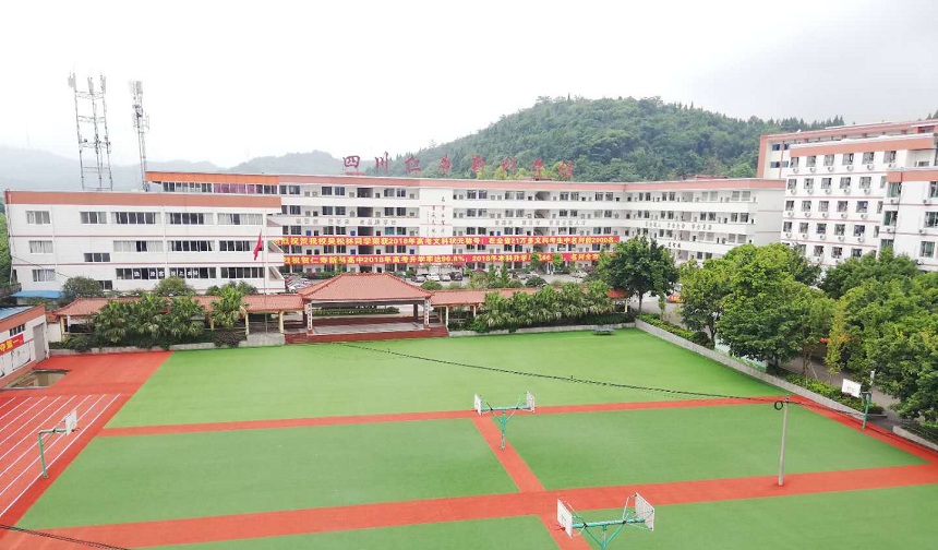 仁寿新科综合高中是公办还是民办？
