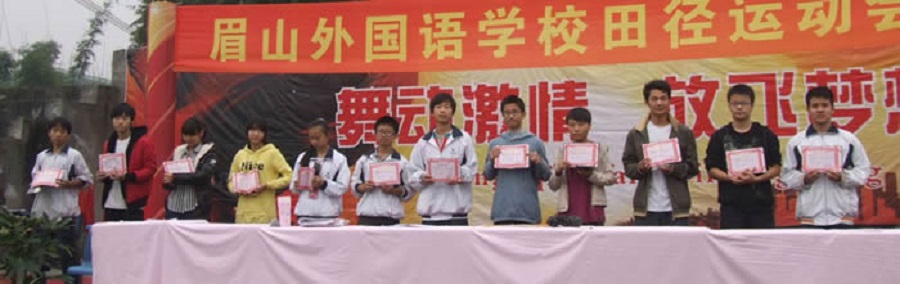 眉山外国语是什么性质的学校？
