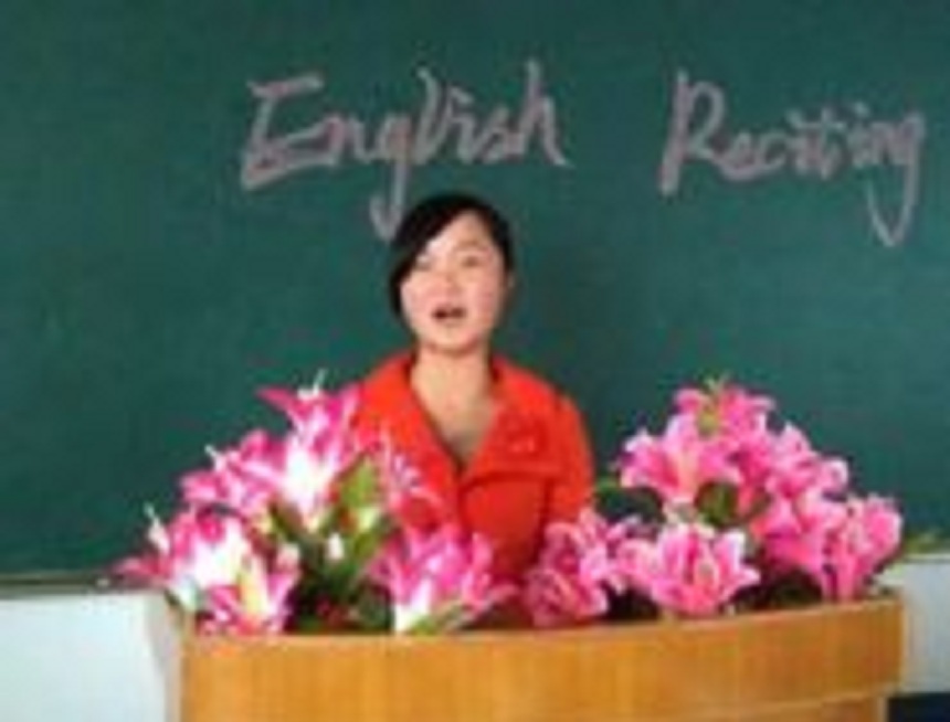 汪洋中学是民办还是公办？