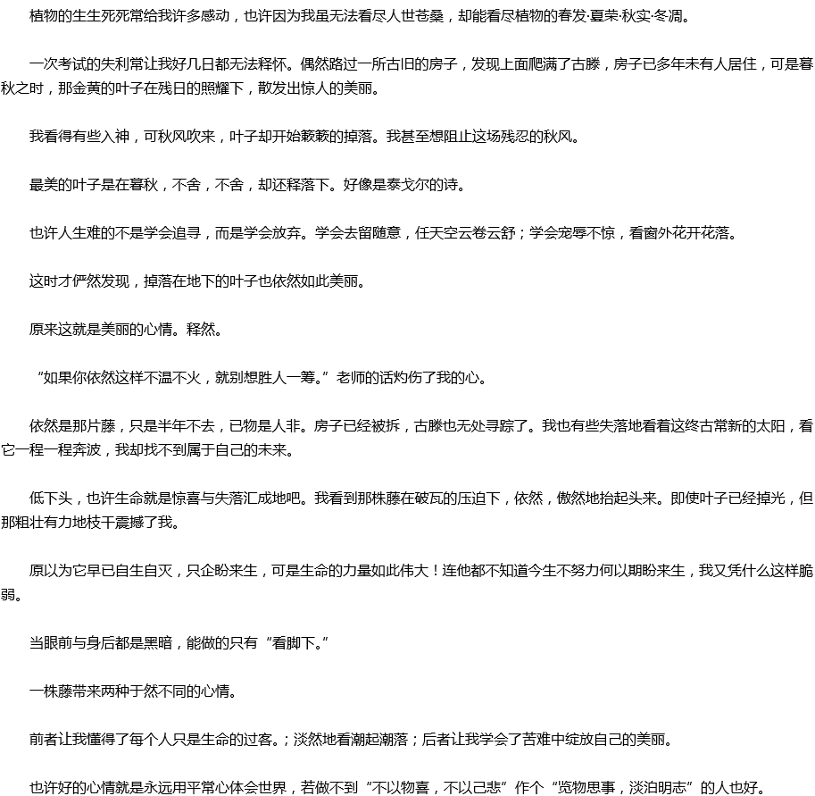 2020年中考满分作文700字参考范文：释怀·超越