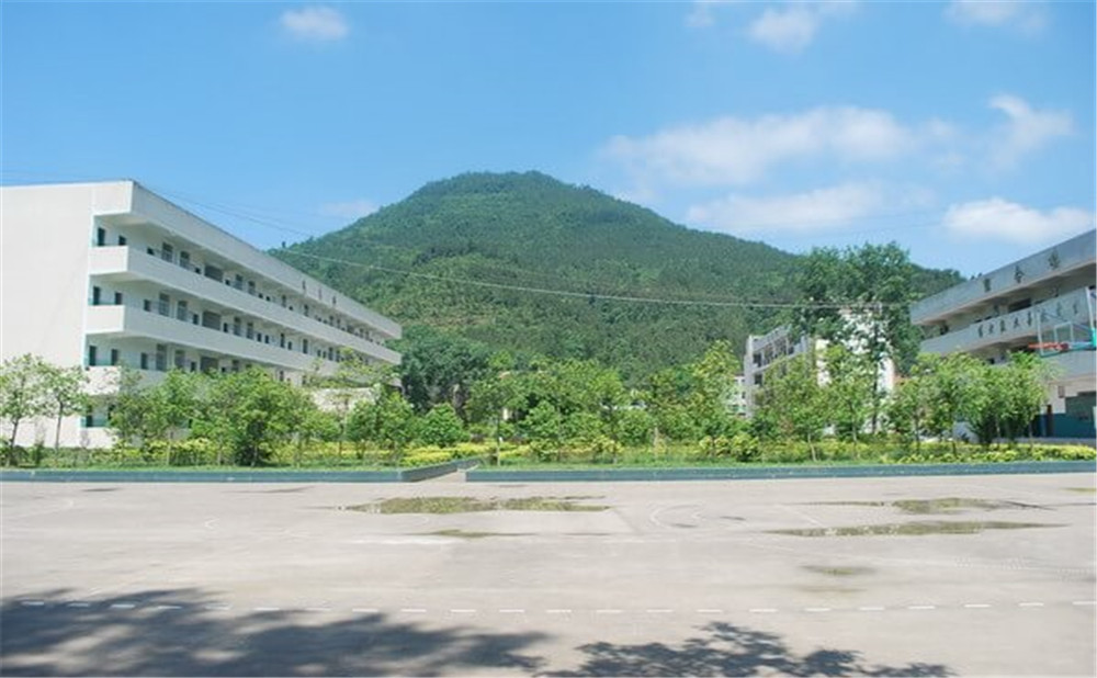 金山中学学校环境如何？