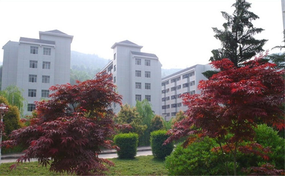 巴中中学学校详细地址在什么地方？