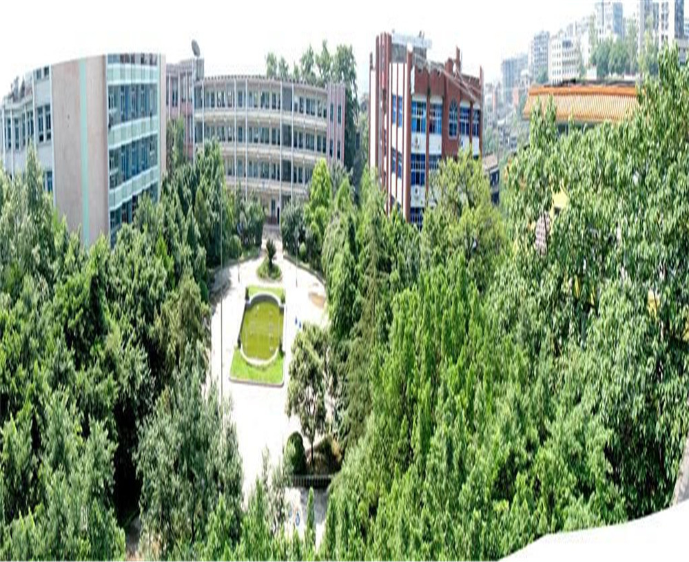 渠县中学2020年的招生计划发布了吗?