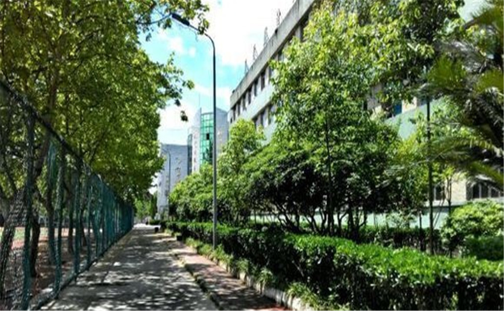 岳池县第一中学2020年的招生计划公布了吗？