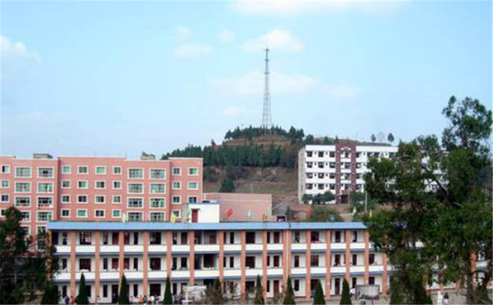 七宝寺中学学校环境怎么样？