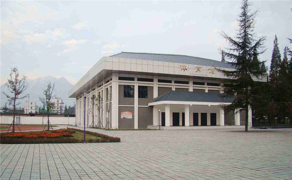 都江堰外国语实验学校去年录取分数是多少？