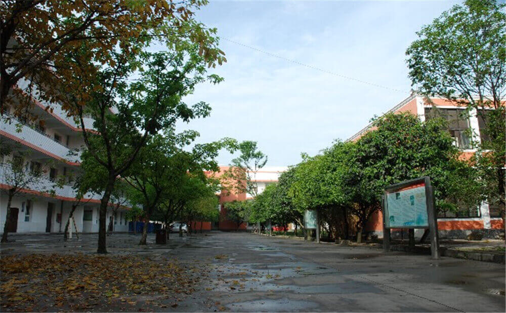 大邑中学近三年的录取分数是多少分？