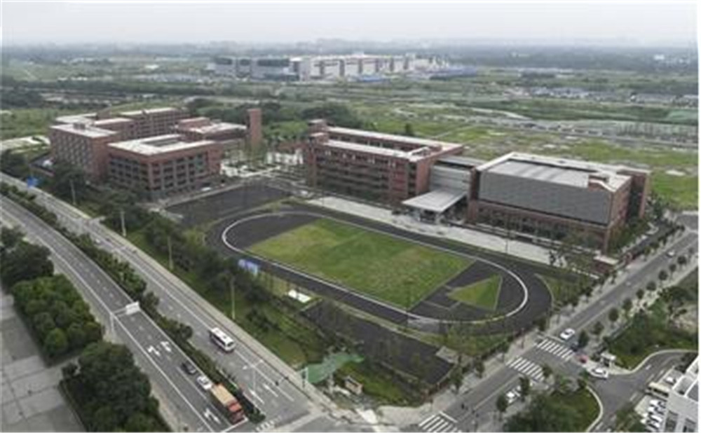电子科技大学实验中学2020年招生标准是什么？