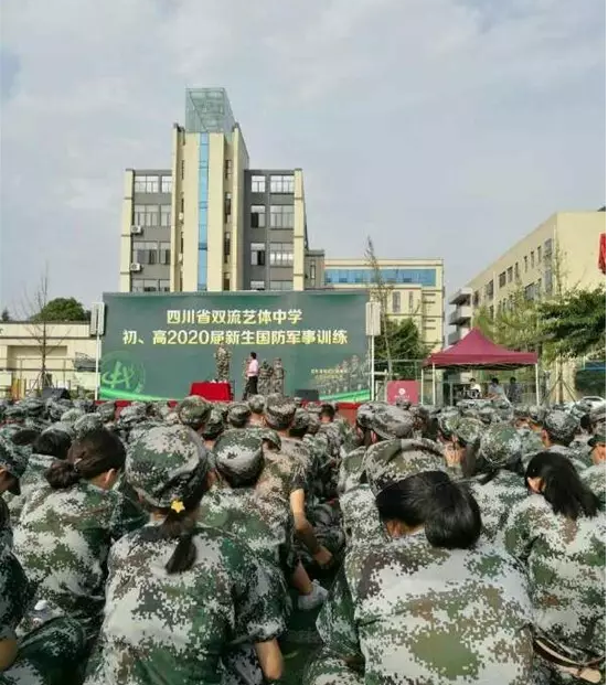 双流艺体中学的升学率是多少？