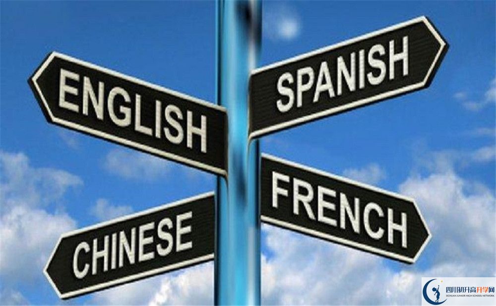 成都绵实外国语学校高中一年的学费是多少？