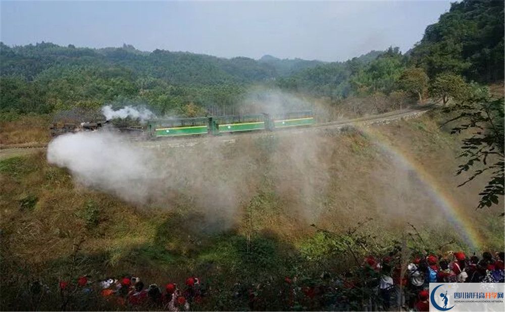 考成都市泡桐树中学分数线是多少？