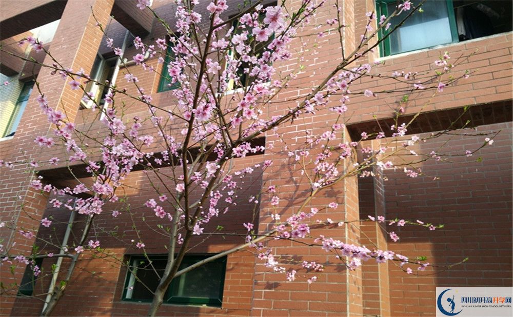 都江堰育才学校的学费一期是多少？