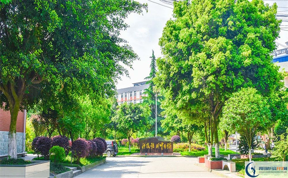 近几年川科外国语学校高中录取的分数线是多少？