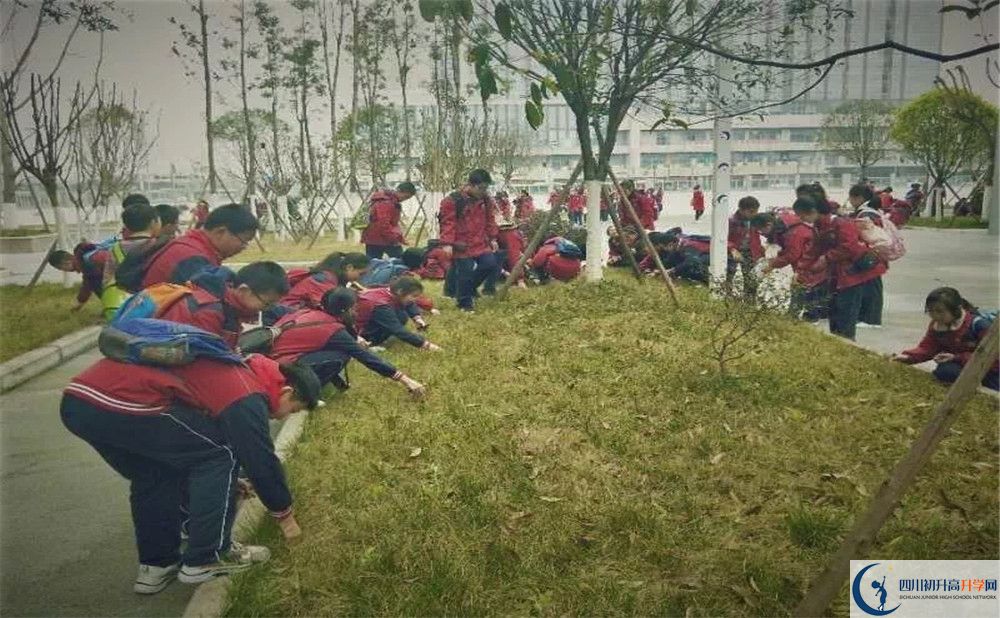 2020年北二外成都附属中学自主招生考试报名时间是多久？
