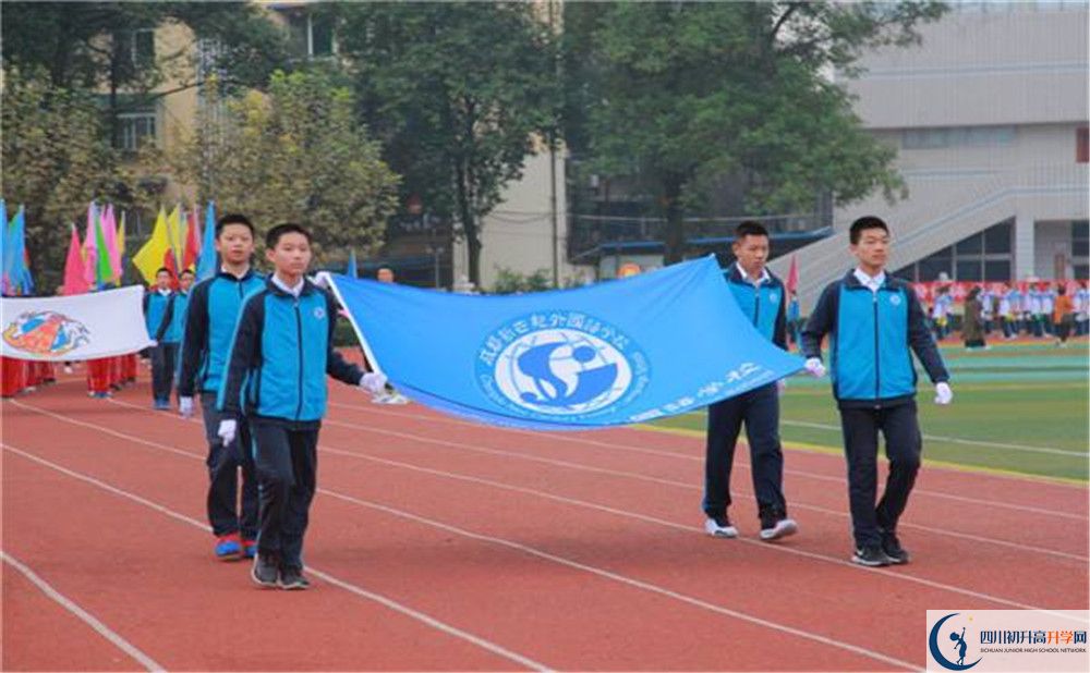成都新世纪外国语学校的高一分班吗?